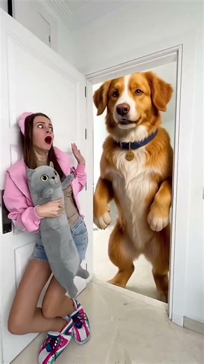 SHE CAN’T ESCAPE! 😱 Giant Dog vs. Tiny Human #Shorts