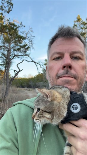Oscar joins the morning walk, sort of. #cat #nosuchthingasafreekitten | Aaron LaCombe