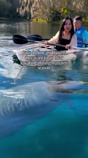 The Clearest Water and Best Wildlife in Florida? Clear Kayak Tour at Silver Springs