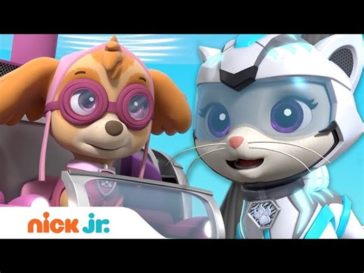 Paw Patrol - Pups And Cat Pack Rescue A Construction Worker