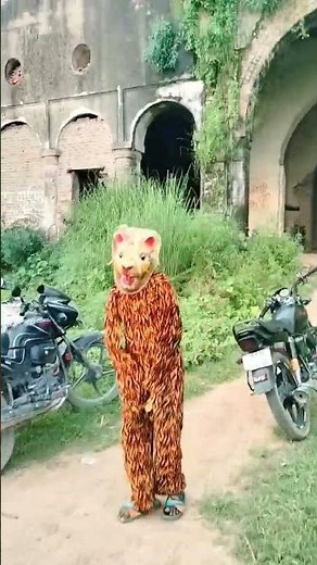 Jungle ke 🌹🌹🌹🔥🔥🔥raja jaldi #mata #sherawaali #chandidevi #kalka #shorts a641