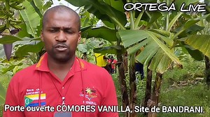 1.3K views |  MOHELI - Agriculture || Porte ouverte COMORES VANILLA, Site BANDRANI. Reportage & Montage : Yssouf Ben Anthoy Bacar. ORTEGA LIVE. | ORTEGA LIVE | Facebook