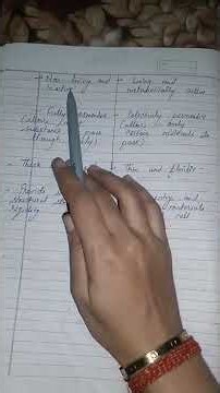 Difference between cell wall & Plasma membrane