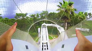 Enjoy a ‘water-coaster’ ride down Crush ’n’ Gusher at Disney’s Typhoon Lagoon! | Walt Disney World