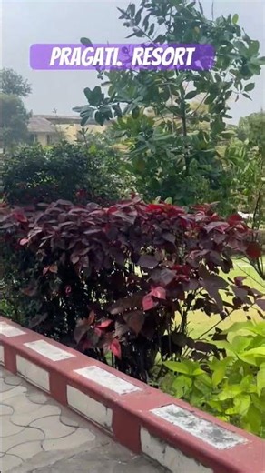 Pragati resort