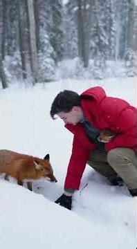 The Fox at the Glass Door 🦊❄️ | Emotional Forest Story #EmotionalStory #AnimalRescue #HumanKindness