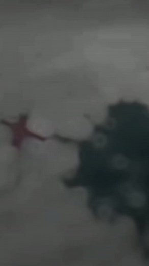 Papi Chulo: La Comedia que no Te Puedes Perder