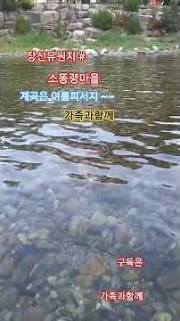 장신유원지 계곡 #소똥령마을#