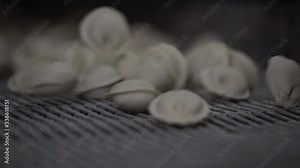 Automatic Machine Production Process at a Dumpling Factory. Fresh Raw Pelmeni Fall On the Conveyor Belt. Food industry. Modern conveyor line.