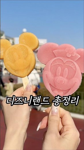 일본 도쿄 디즈니랜드 역대급 총정리