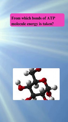 Bioenergetics #chapter 8#biology | AR Biologist