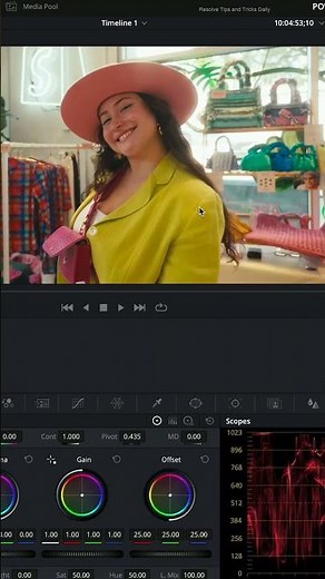 Save Any Color Grade Forever | DaVinci Resolve