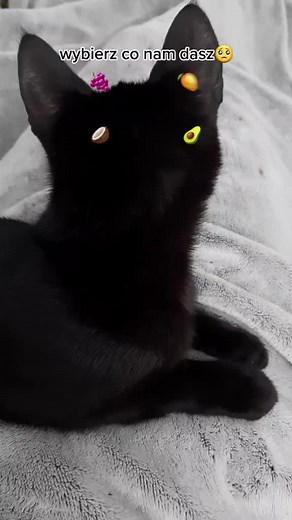 #fyp #dc #duet #fypシ