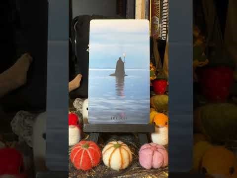 ASMR Oracle Card of the Day Pull: The Somnia Oracle