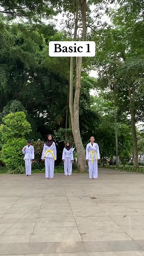 Basic 1 #taekwondo #fyp #poomsae