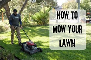How to Mow a Lawn the Right Way