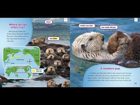 HMH Read Aloud - Sea Otter Pups - 2nd grade