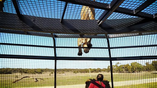 10K views · 546 reactions | Since reopening, our Lions 360 experience...