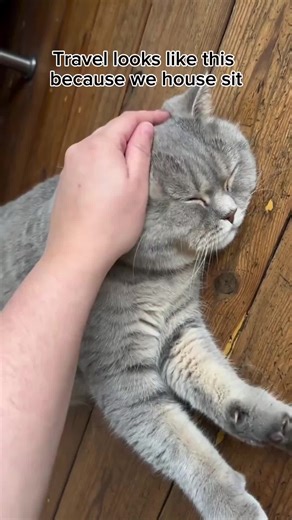 Our Sitters travel looks like this because they house sit! Not rushing between hotels, not living out of a suitcase — but settling into real homes, caring for animals we quickly fall in love with, and experiencing places as they’re meant to be lived in. It’s slower. More meaningful. And full of moments you don’t plan for — morning routines, long walks, and pets who make a place feel like home. Curious what your travel could look like? Sign up to TrustedHousesitters via the link in our bio and st