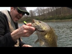 Allegheny River Bass Fishing