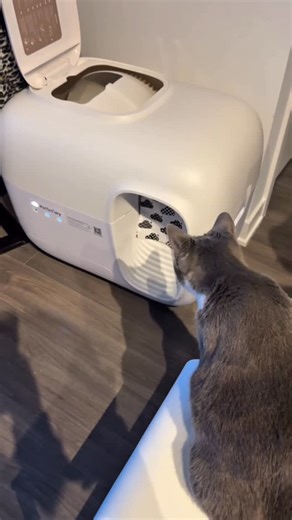 UgcansuCanada🇨🇦 on Instagram: "Being a pet parent is not just about love — it’s also about comfort, hygiene, and smart solutions 🐾✨ PetSnowy combines modern design with smart technology to make life easier for both me and my furry friend. My favorite feature? 📱 With the PetSnowy app, I can control everything directly from my phone. From usage tracking to cleaning status and settings — all at my fingertips, even when I’m not at home 🤍 Its quiet operation, hygienic system, and sleek design fi