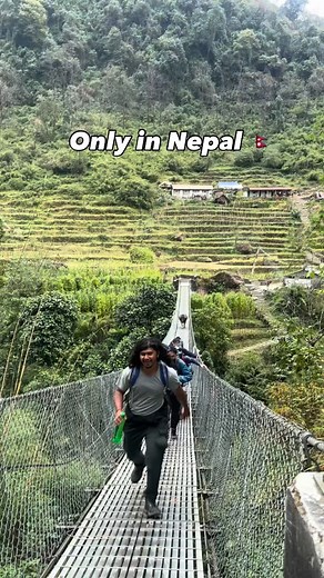 5.3M views · 35K reactions | Runnnnnnnn!!!!!!! Story: On our way back from ABC, while we were crossing this wired bridge a buffalo came running towards us! Also few mins ago the same buffalo was chilling in the crop fields!  #nepal #abc #annapurna #trek #buffalo #attack #run #onlyinnepal | Anubhav Basnet | Facebook