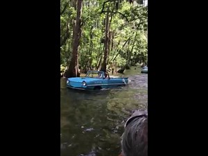 71K views · 834 reactions | Amphicar line-up Credit: Larry Ratliff | Oldtimers | Facebook