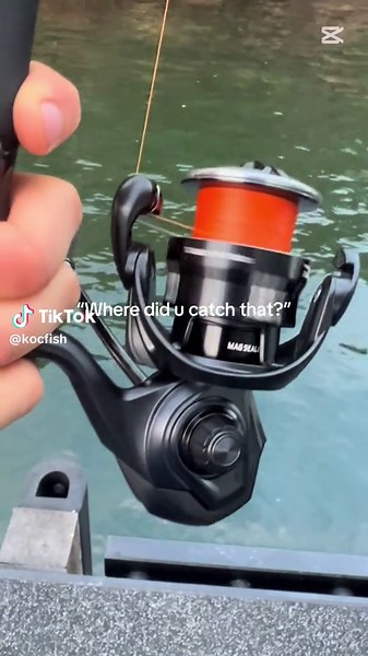 ☠️#fishjgn#tdblsck#td24black#amazing#sction#fish#flathead#bream#trev#trevally#tailor#and#please#follow#and#subsucribe#and#make#sure#to#like#sydney#nsw#habourfishing#fyfup#fypage