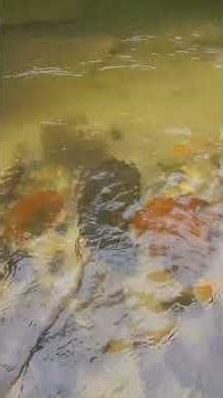 This River Is So Clear It’ll Trick You 😲 (Chattooga River)