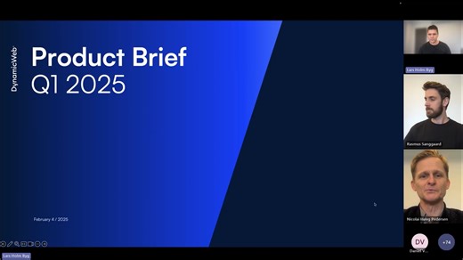 DynamicWeb Product Brief - Q1 2025