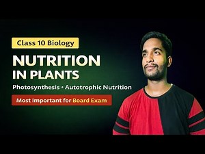 Nutrition in Plants | Class 10 Biology | Photosynthesis Explained (NCERT)