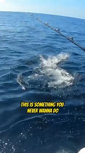 20K views · 175 reactions | This is something you never want to do... #gaff #fishing #hook | Your Saltwater Guide | Facebook
