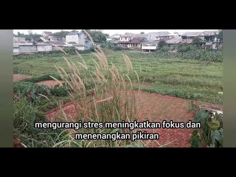 RELAKSASI SUARA ALAM ASMR