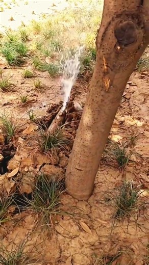 The process of pulling the cable underground- Good tools and machinery make work easy #fyp
