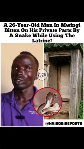 A 26-Year-Old Man In Mwingi Was Bitten On His Private Parts By A Snake While Using The Latrine