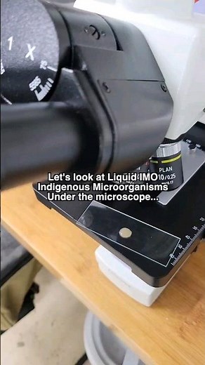 Liquid IMO Under #microscope #naturalfarming