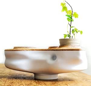 Biovessel - Eco Living Composter Powered by Food Waste