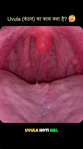 Krishna Verma on Instagram: "What is the function of Uvula? #reels #feed #facts #uvula"