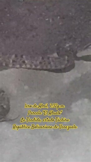 ¡!!!No a las guerras!!!