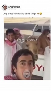 4.2K views · 34 reactions | Camel laughing with us! #camels #laugh #LaughOutLoud #laughter #funnyvideos #funnymoments #fypシ゚ #viralpost | Happy Haven | Facebook