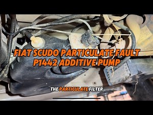 P1442 additive pump, Fiat particulate fault