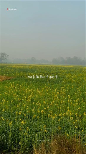 Kal Ho Naa Ho | Sonu Nigam | Javed Akhtar | Lyricsgirl-t | #song #shorts #lyrics