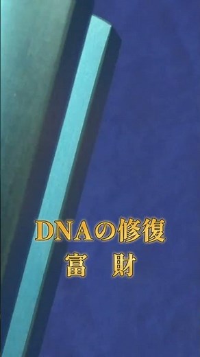 MIチューナー528Hz深海「ミラクル」DNAの修復 富 財