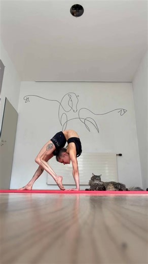 In case you wonder what I’m thinking 99% of the time while my human is doing her thing... 🤯 ‘Is she a human pretzel? 🥨 Can I get a snack while she’s stuck like that? 🍽️. . #athlete #stefaniemillinger #backbend #cat #mainecoon | Stefanie Millinger Milli-Artist