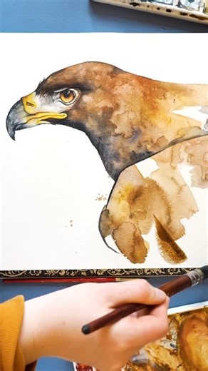 21K views · 728 reactions | Watercolor hawk painting | Painted Wing | Facebook