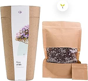 KIRI Biodegradable Tree Urn for Cremated Ashes - Eco Burial Urn. Grow a Living Memory Tree from The Ashes. Tree Seed (Cypress)