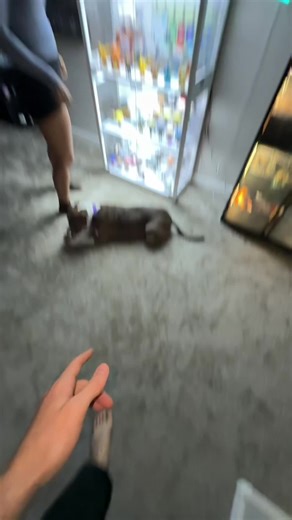 Affordable Glass Display Cases for Gaming Rooms