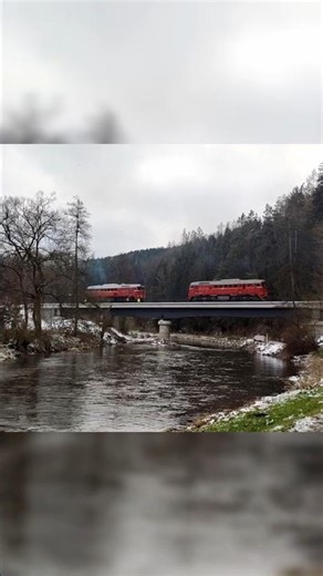 Bridge Stress Test: Two Old but Fresh Giants in Perfect Sync #sound #train