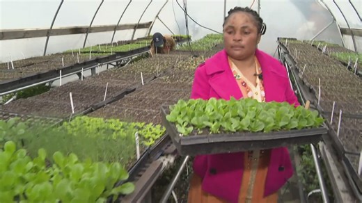 Ohio City Farm grows more than food: A refuge for Cleveland’s newcomers
