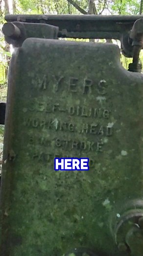Found some evidence of an abandoned homestead out here in the woods. Thought you all might enjoy taking a look at this. There are still some places like this out in Old Florida if you look hard enough, but they are disappearing fast. #FloridaHistory | Beyond Florida